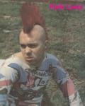 Punk\'s not dead